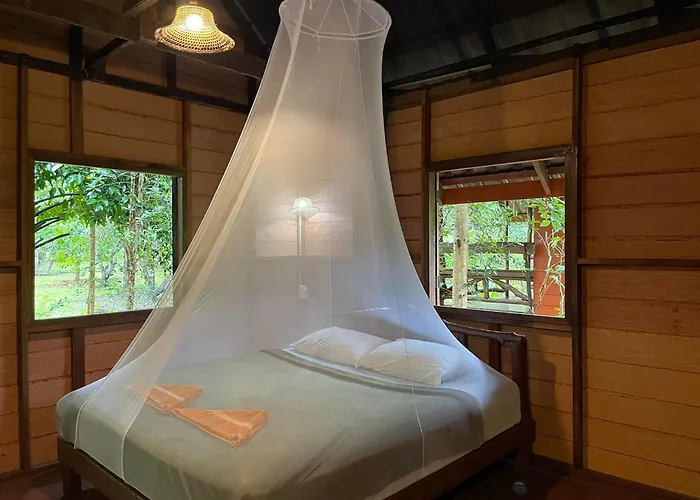 Khao Sok Green Mountain View